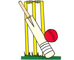 cricket game